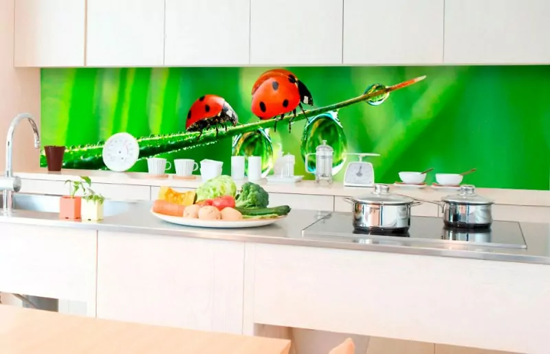 Fototapeta Dimex Ladybird KI350-015 | 350 x 60 cm