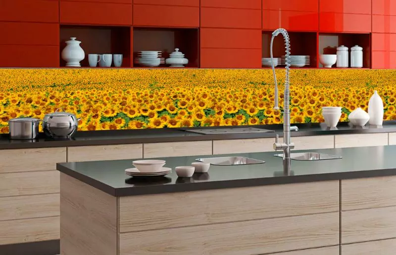 Fototapeta Dimex Sunflowers KI350-030 | 350 x 60 cm