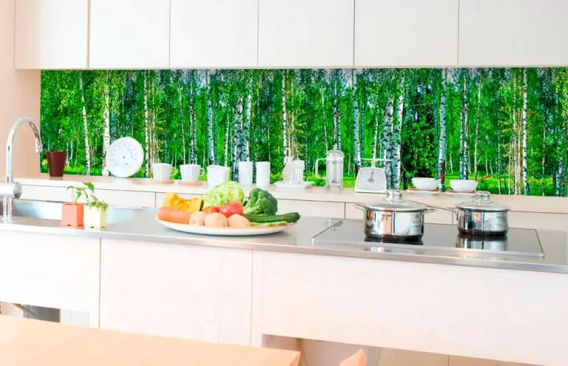 Fototapeta Dimex Birch Grow KI350-044 | 350 x 60 cm
