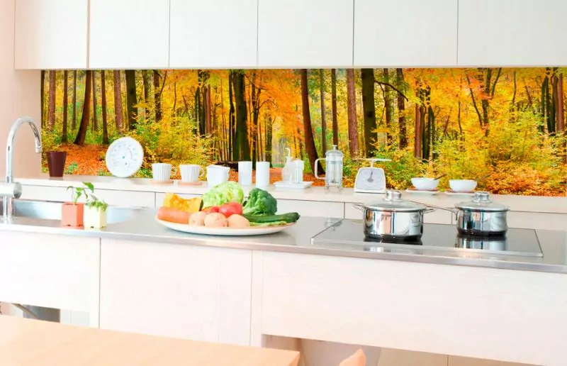 Fototapeta Dimex Autumn Forest KI350-045 | 350 x 60 cm