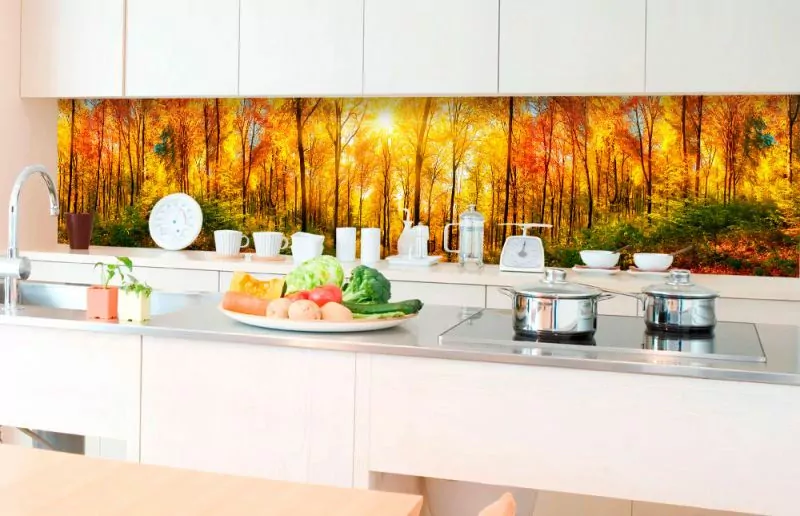 Fototapeta Dimex Sunny Forest KI350-084 | 350 x 60 cm