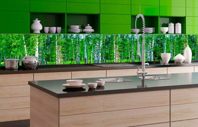 Fototapeta Dimex Birch Grow KI350-044 | 350 x 60 cm