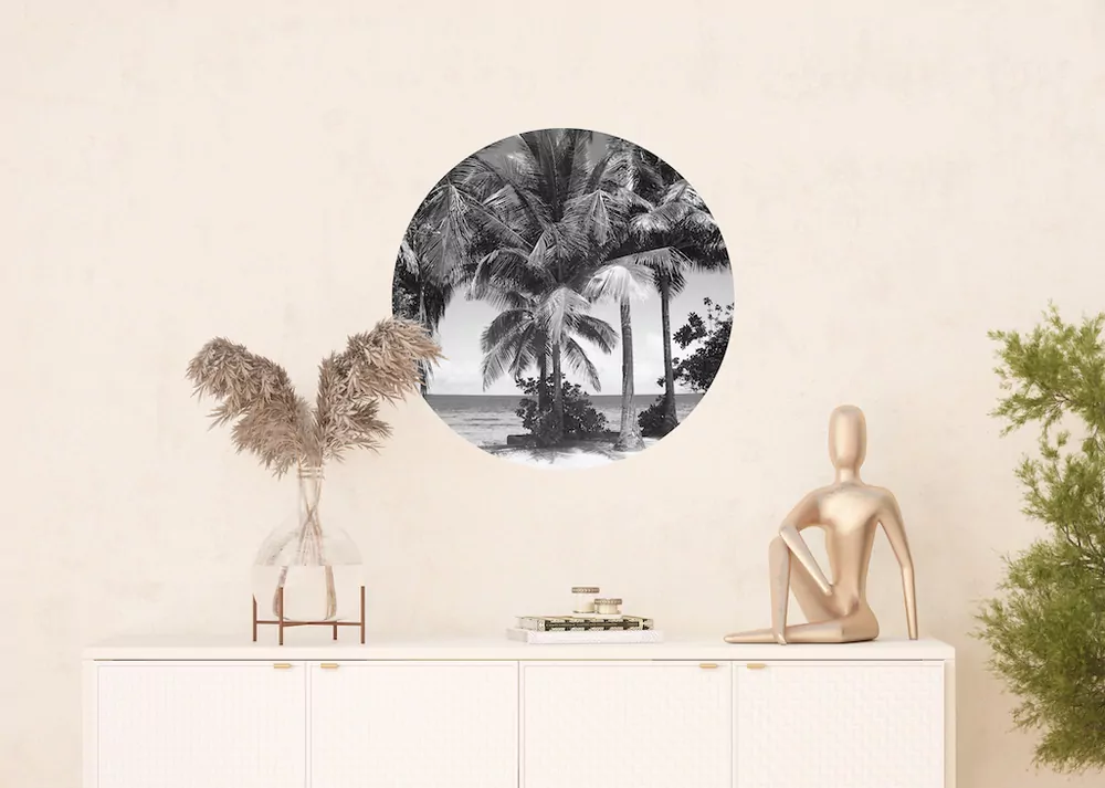 Samolepiaca fototapeta CR3209 Monochromatic Palms 70 x 70 cm