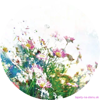Samolepiaca fototapeta CR3301 Field Flowers 140 x 140 cm