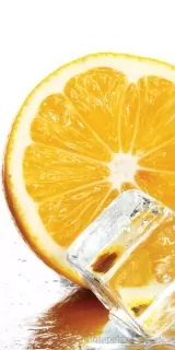 Fotoapeta na stenu Lemon S-218