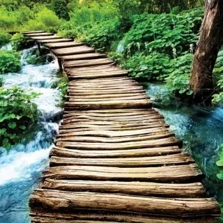 Vliesové fototapety Boardwalk L-133