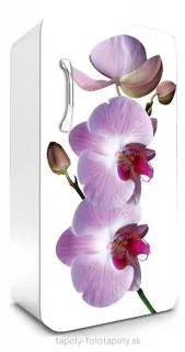 Fototapeta Dimex Orchid 65 x 120 cm FR120-024