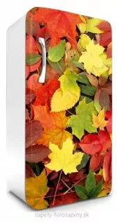 Fototapeta Dimex Leaves 65 x 120 cm FR120-025