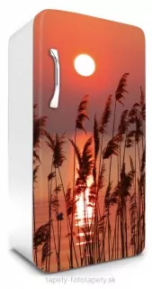 Fototapeta Dimex Reed 65 x 120 cm FR120-027