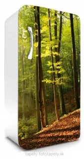 Fototapeta Dimex Forest 65 x 120 cm FR120-028