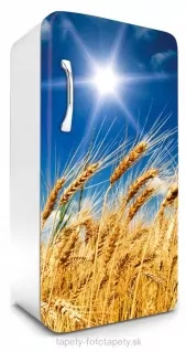 Fototapeta Dimex Wheat 65 x 120 cm FR120-030