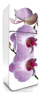 Fototapeta Dimex Orchid 65 x 180 cm FR180-024