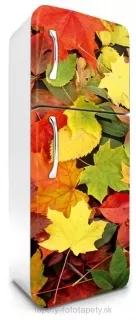 Fototapeta Dimex Leaves 65 x 180 cm FR180-025