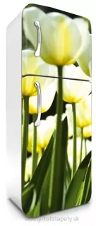 Fototapeta Dimex Tulips 65 x 180 cm FR180-026