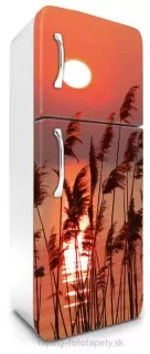 Fototapeta Dimex Reed 65 x 180 cm FR180-027