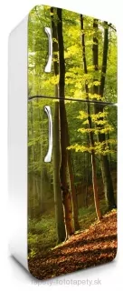 Fototapeta Dimex Forest 65 x 180 cm FR180-028