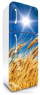 Fototapeta Dimex Wheat 65 x 180 cm FR180-030