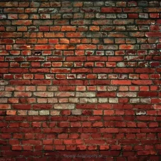Vliesové fototapety Tehly L-158