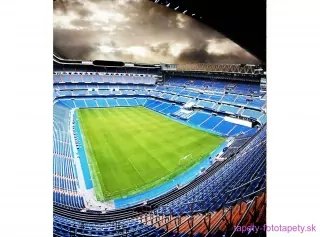DIMEX fototapeta Futbalový štadión MS-3-0307 - 225 x 250 cm