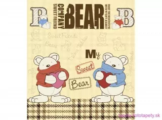 DIMEX fototapeta Teddy Bear MS-3-0348 - 225 x 250 cm