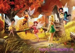 AG Design fototapeta FTD 0251 Fairies 360 x 254 cm