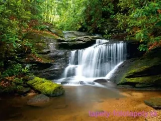 AG Design fototapeta FTS 0478 Waterfall 360 x 254 cm