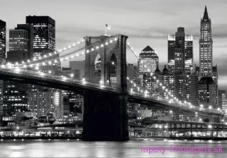 AG Design fototapeta FTS 0199 Brooklyn 360 x 254 cm