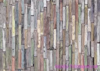 AG Design fototapeta FTS 1321 Woods 360 x 254 cm