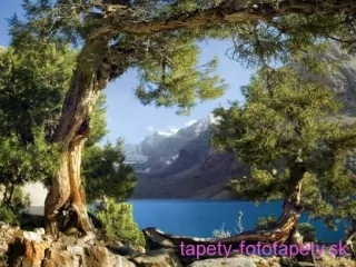 AG Design fototapeta FTS S 0833 River 180 x 127 cm