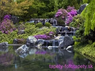 AG Design fototapeta FTS S 0835 Lake 180 x 127 cm