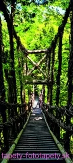 AG Design fototapeta FTN V 2937 Forest bridge 90 x 202 cm