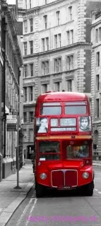 AG Design fototapeta FTN V 2898 London bus 90 x 202 cm