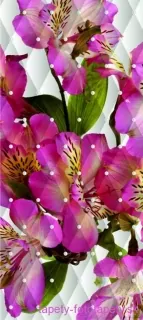 AG Design fototapeta FTN V 2934 Apple blossom 90 x 202 cm