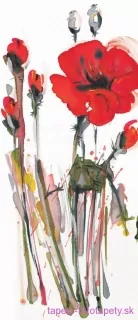 AG Design fototapeta FTN V 2829 Art poppy 90 x 202 cm
