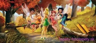 AG Design fototapeta FTDN H 5307 Fairies in the forest 202 x 90 cm