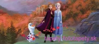 AG Design fototapeta FTDN H 5387 Frozen 202 x 90 cm