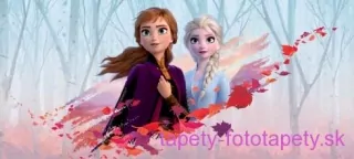 AG Design fototapeta FTDN H 5388 Frozen 202 x 90 cm