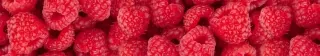 Fototapeta Dimex Raspberry KI350-004 | 350 x 60 cm