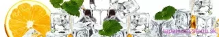 Fototapeta Dimex Lemon and Ice KI350-023 | 350 x 60 cm