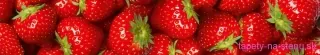 Fototapeta Dimex Strawberry KI350-025 | 350 x 60 cm