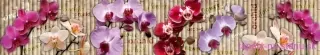 Fototapeta Dimex Orchid KI350-026 | 350 x 60 cm