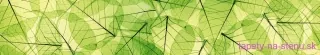 Fototapeta Dimex Leaf Veins KI350-048 | 350 x 60 cm