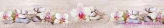 Fototapeta Dimex Apple Blossom KI350-057 | 350 x 60 cm