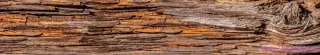 Fototapeta Dimex Tree Bark KI350-062 | 350 x 60 cm