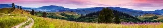 Fototapeta Dimex Blooming Hills KI350-082 | 350 x 60 cm