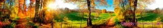 Fototapeta Dimex Meadow KI350-083 | 350 x 60 cm