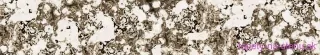 Fototapeta Dimex Rough Stone KI350-104 | 350 x 60 cm