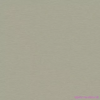 Vavex vliesová tapeta Texture BA220074 | 0,53 x 10,05 m
