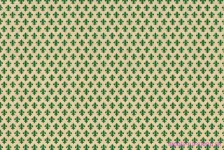 Samolepiace fólie d-c-fix 200-2471 Pitti zelená 45 cm x 15 m
