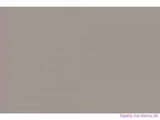 Samolepiace fólie d-c-fix 3460664 Lesklá béžová 45 cm x 2 m